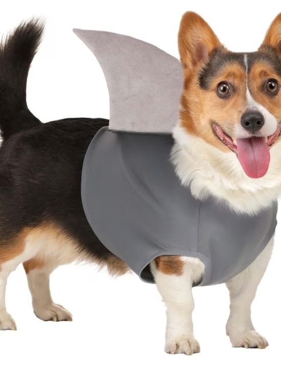 Other - Gray Shark Fin Dog Costume Vest